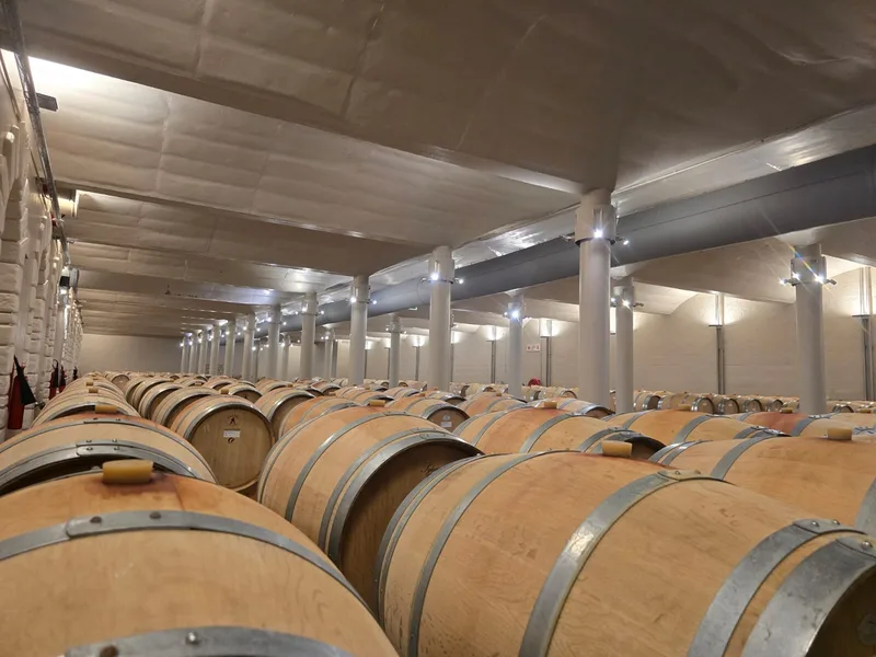 C4 Fire & Security project gallery - gallery-35.webp