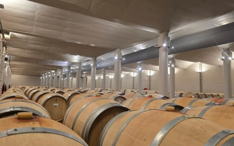 Barrel cellar at a Western Cape wine estate with wall-mounted fire extinguishers, the kind of commercial premises that requires a fire risk assessment