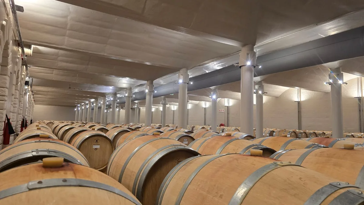 Barrel cellar at a Western Cape wine estate with wall-mounted fire extinguishers, the kind of commercial premises that requires a fire risk assessment